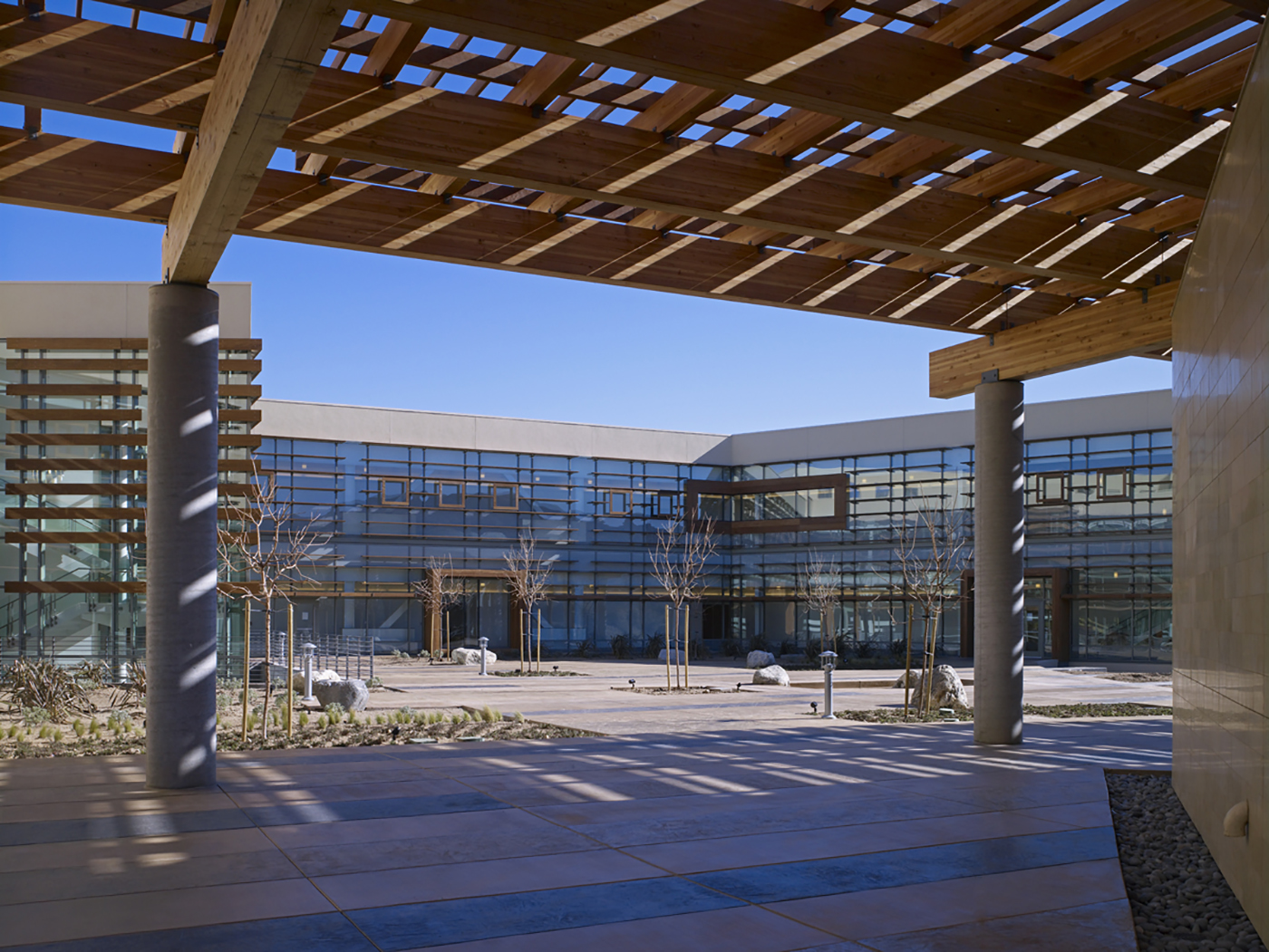 A modern building with large glass windows and an open courtyard, featuring leafless trees, stone landscaping, and a wooden pergola casting shadows on the ground under a clear blue sky.