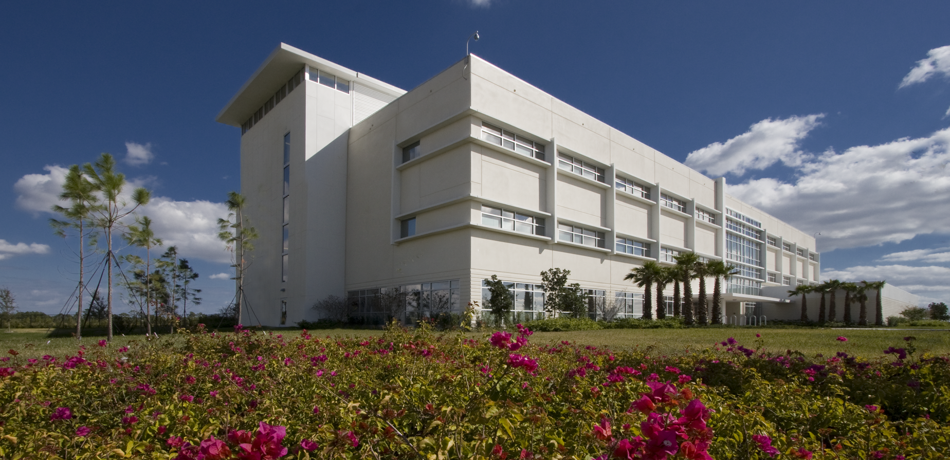 A modern white building with large windows stands behind a garden filled with blooming pink flowers and palm trees under a bright blue sky with scattered clouds.