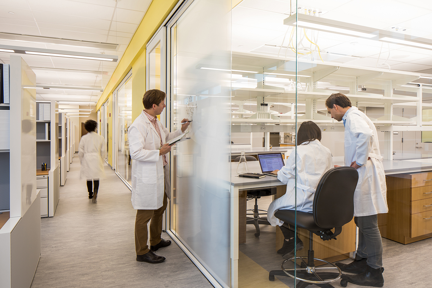 Four scientists in lab coats work in a bright, modern laboratory; one writes on a glass wall, two consult a laptop at a desk, and one walks down the hallway.
