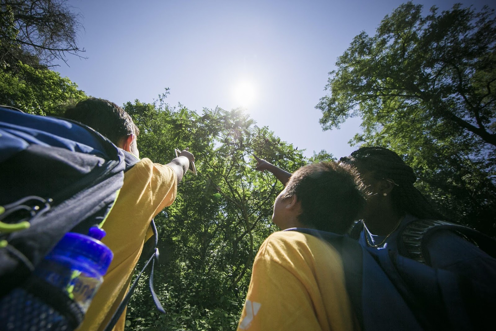 Three people wearing yellow shirts and backpacks look up and point towards the sun in a lush green forest, with tall trees surrounding them under a clear blue sky.