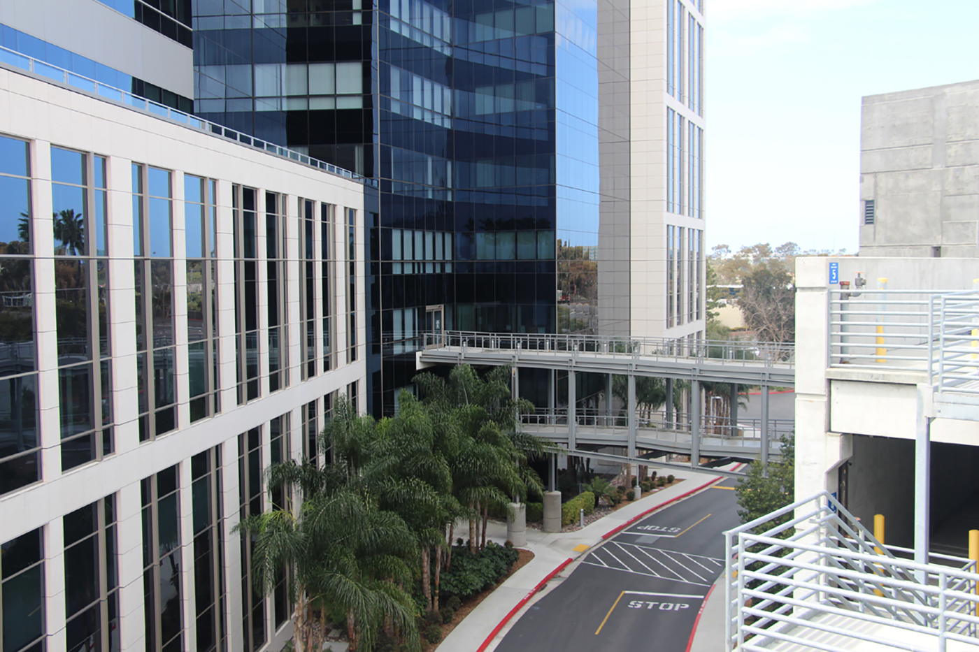 Office buildings with glass windows, a pedestrian skywalk connecting floors, a driveway lined with palm trees, and a multi-level parking structure on the right. STOP is painted on the road near the entrance.