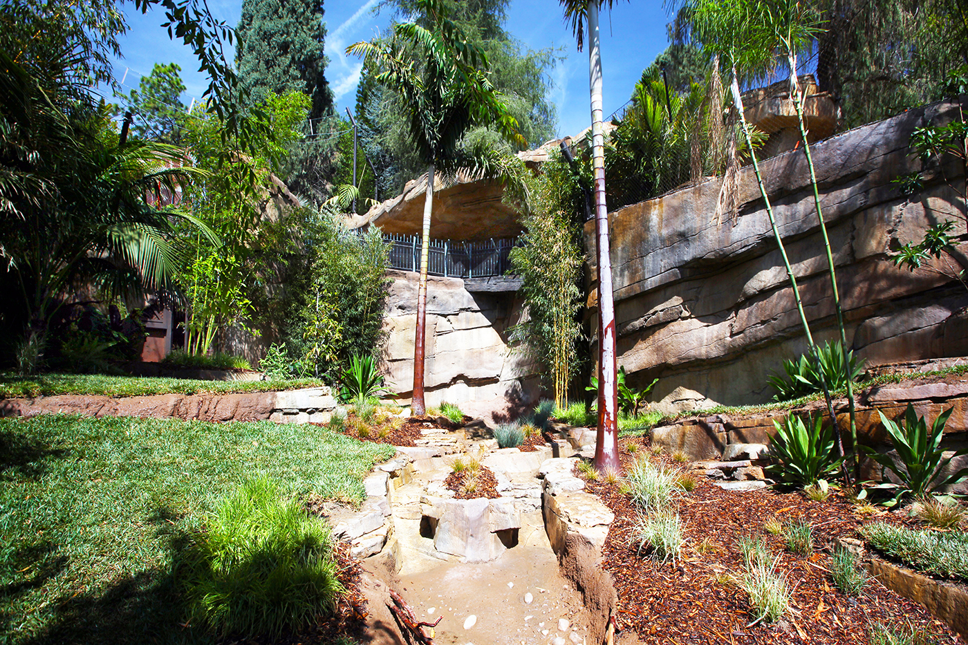 Lush zoo exhibit with rocky cliffs, palm trees, green grass, and various plants under a blue sky; a dry stream runs through the center, creating a naturalistic habitat.