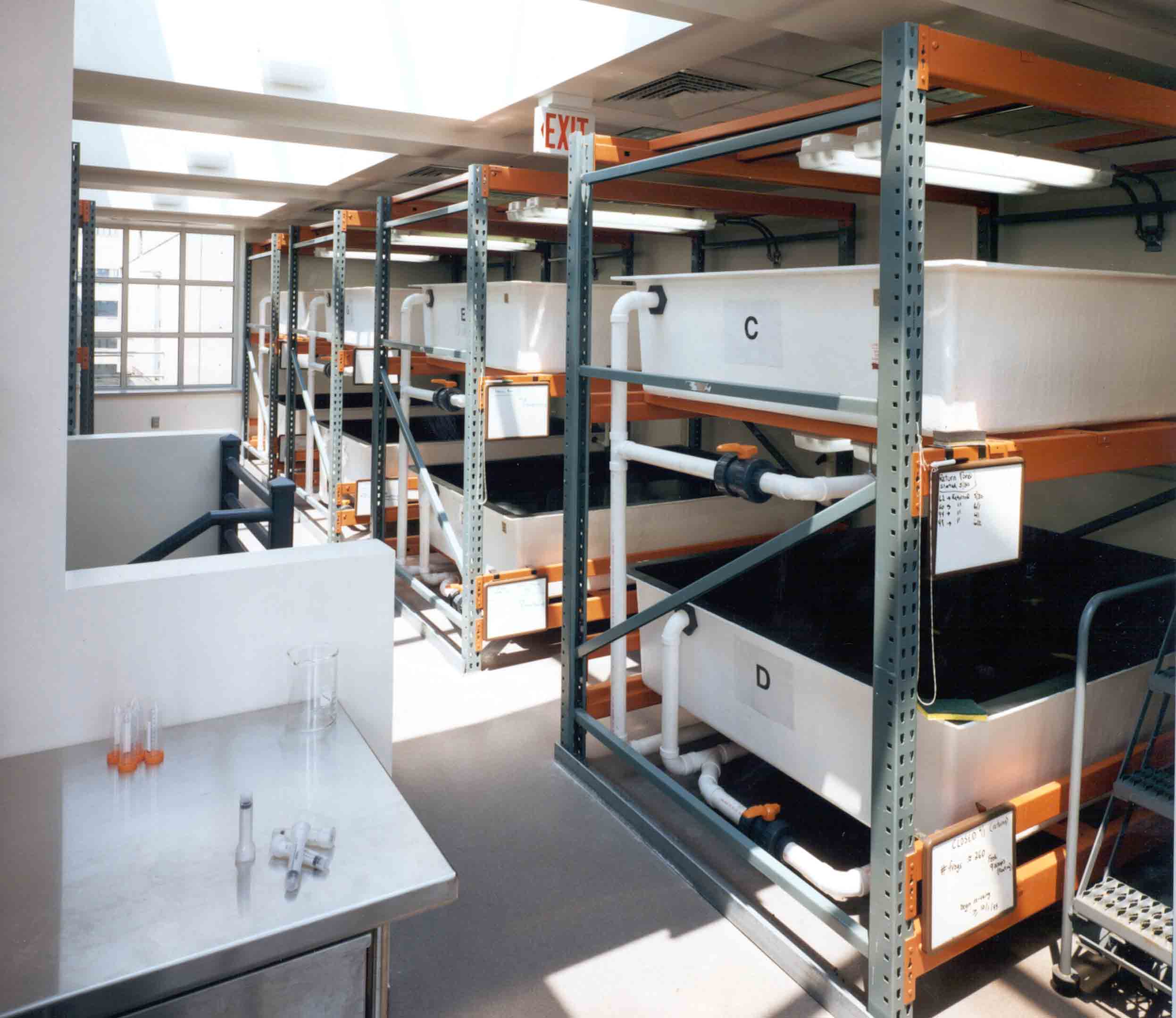 A clean laboratory room with multiple large white aquaculture tanks stacked on metal shelving, connected by white pipes, and labeled with letters. Nearby is a stainless steel table holding glassware. Natural light enters from windows.